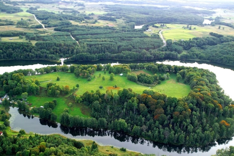 Lithuanian timber industry gets priority