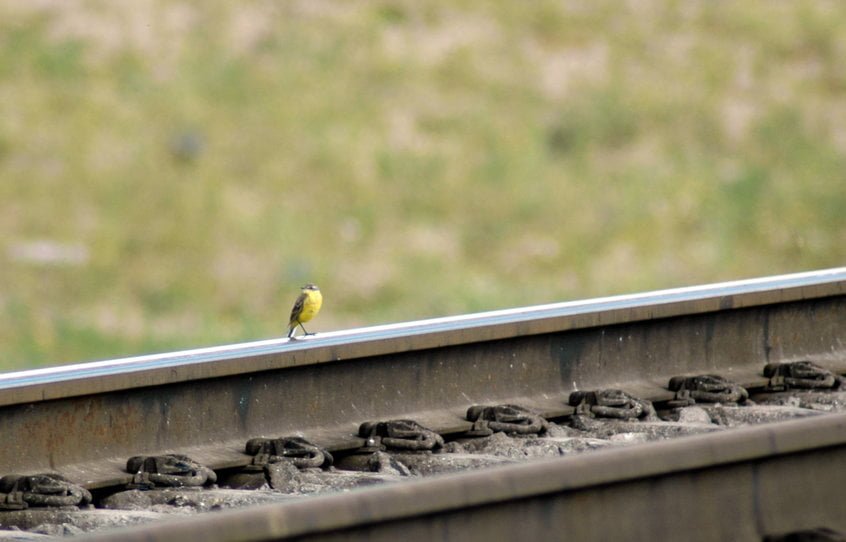 Lithuania will be upgraded rail infrastructure