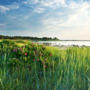 Top 8 Things to Do for Adventure Junkies in the Baltic Islands