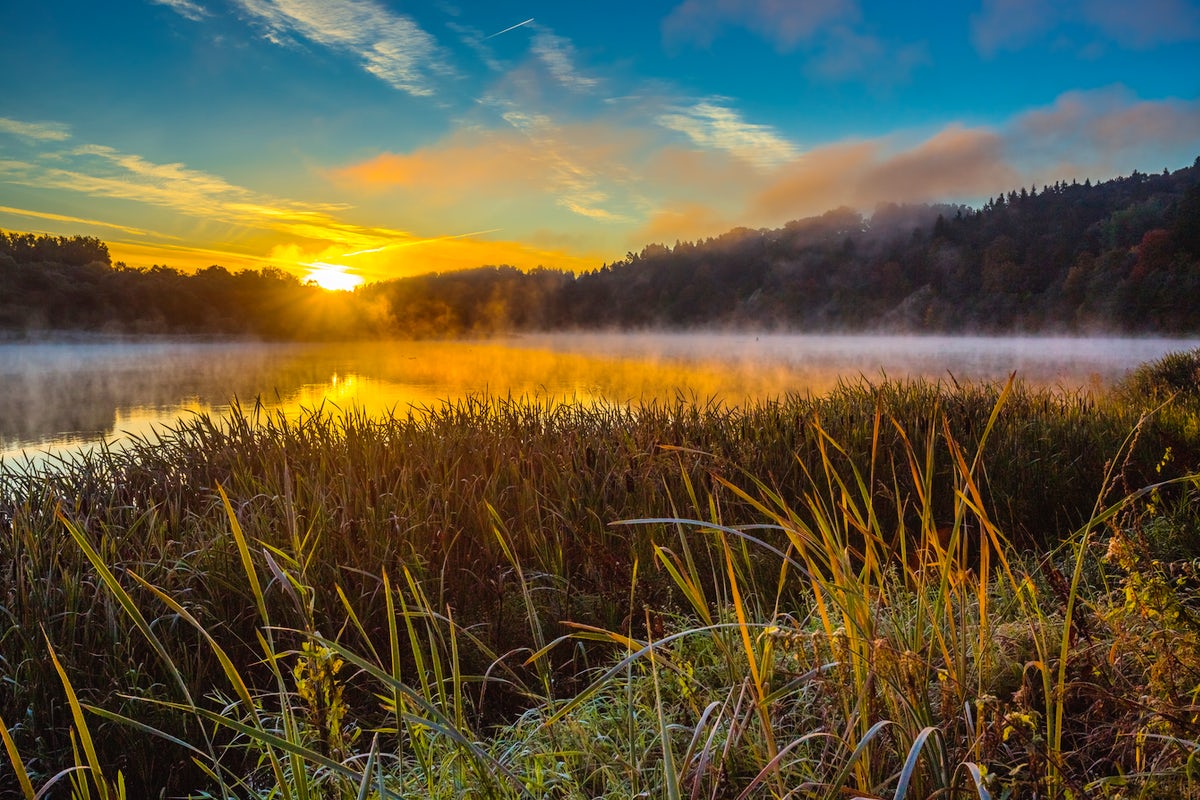 Labanoras Region Park