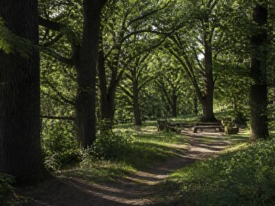 Kaunas brings urban nature and community together at the Drevės festival Kaunas brings urban nature and community together at the Drevės festival