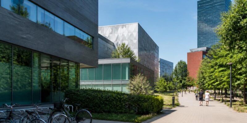 Tallinn to host international summer schools on digital innovation and entrepreneurship