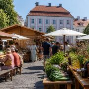 Tartu Food and Wine Festival to turn the city centre into a weekend tasting route Tartu Food and Wine Festival to turn the city centre into a weekend tasting route