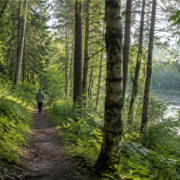 Vilnius Introduces 10 Forest-Bathing Routes for a Slower Way to Explore the City