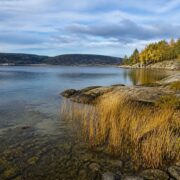 Norway opens NOK 55 million funding round for Oslofjord restoration Norway opens NOK 55 million funding round for Oslofjord restoration