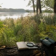 Warsaw’s Młociny district opens a public inventory of urban biodiversity