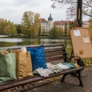 Kaliningrad opens an autumn week of volunteering with civic, environmental and animal-welfare activities