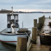 Limfjord shellfish season opens with Denmark’s Oyster and Mussel Premiere
