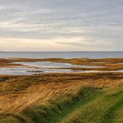 South Jutland promotes Wadden Sea nature and food experiences during autumn break South Jutland promotes Wadden Sea nature and food experiences during autumn break