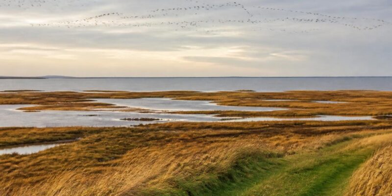 South Jutland promotes Wadden Sea nature and food experiences during autumn break