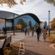 Svetlogorsk business forum to showcase Kaliningrad region’s local brands and creative economy
