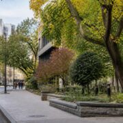 Vilnius puts urban trees at the centre of a new European green-city dialogue Vilnius puts urban trees at the centre of a new European green-city dialogue