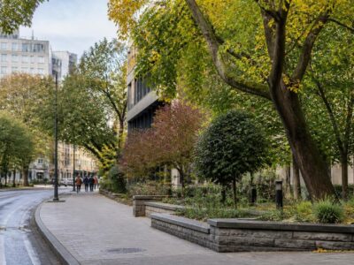 Vilnius puts urban trees at the centre of a new European green-city dialogue