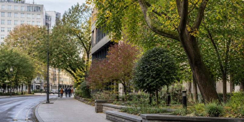 Vilnius puts urban trees at the centre of a new European green-city dialogue
